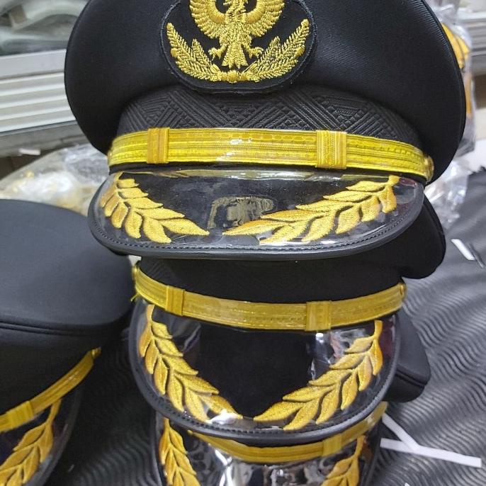 

topi pet pilot