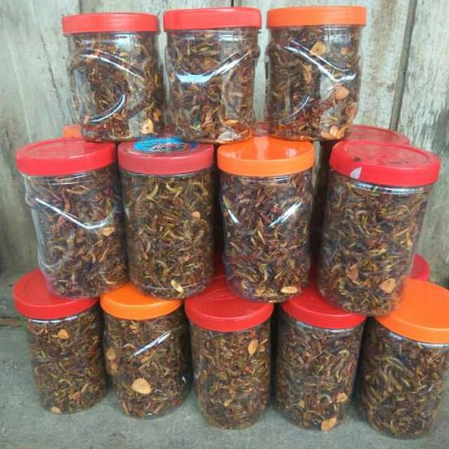 

Belalang utis goreng toples besar & panjang