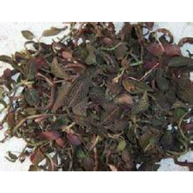 

50gr 公石松 Gong Shi Song Common Clubmoss