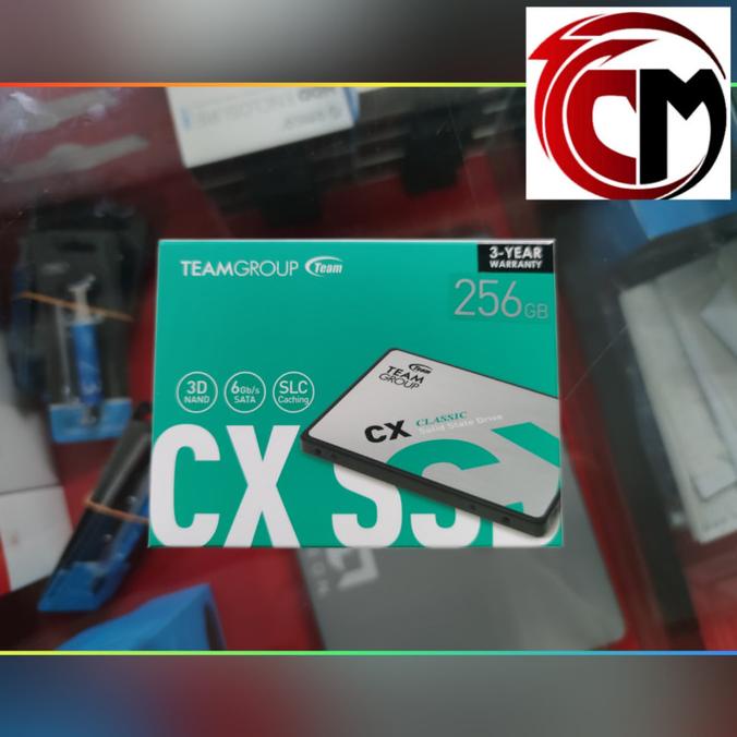 Team SSD CX2 256GB