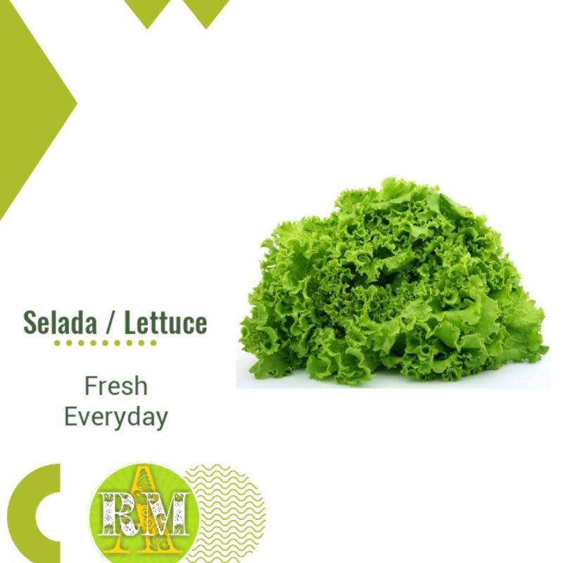 

SELADA SEGAR/ LETTUCE 500g