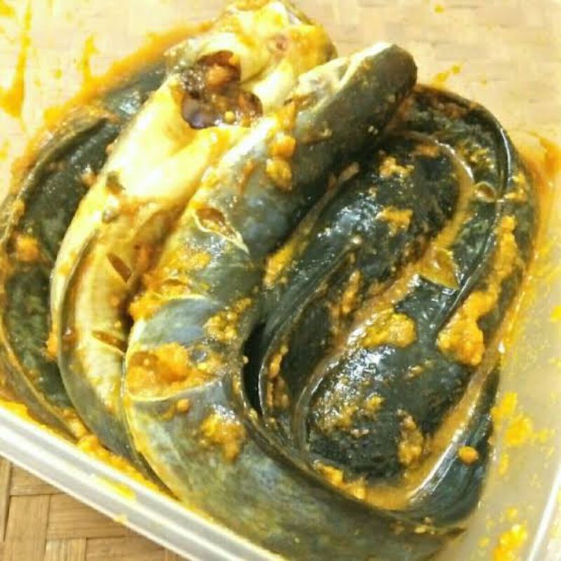 

lele bumbu kuning