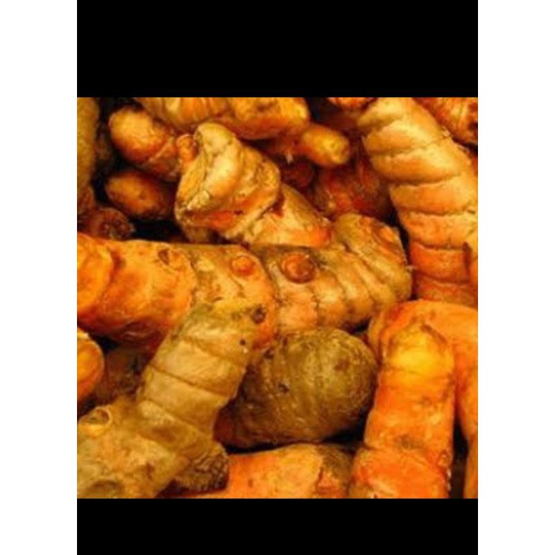 

Kunyit Berkualitas - 200 Gram