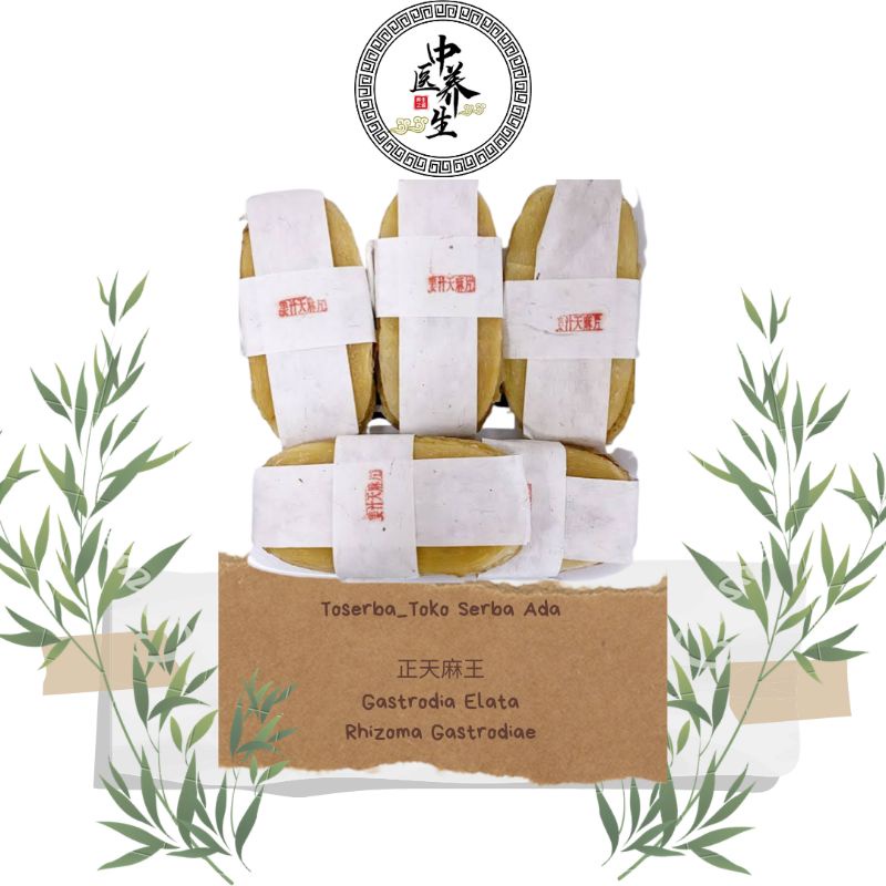 

50gr Herbal Zheng Tian Ma Wang 正天麻王 Gastrodia Elata Rhizoma Gastrodiae Tall Gastrodia Rhizome Grade A