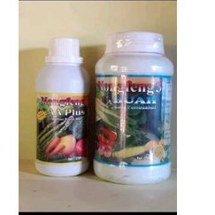 PAKET  Nongfeng AA Plus + Nongfeng Buah/Pupuk Nongfeng Buah
