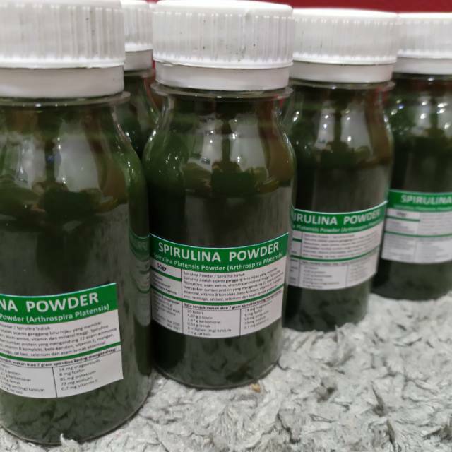 SPIRULINA BUBUK / SPIRULINA POWDER / SPIRULINA PLANTESIS UNTUK IKAN