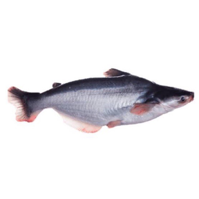

Ikan Patin 500gr 1Kg Pasar Bandung Berkah