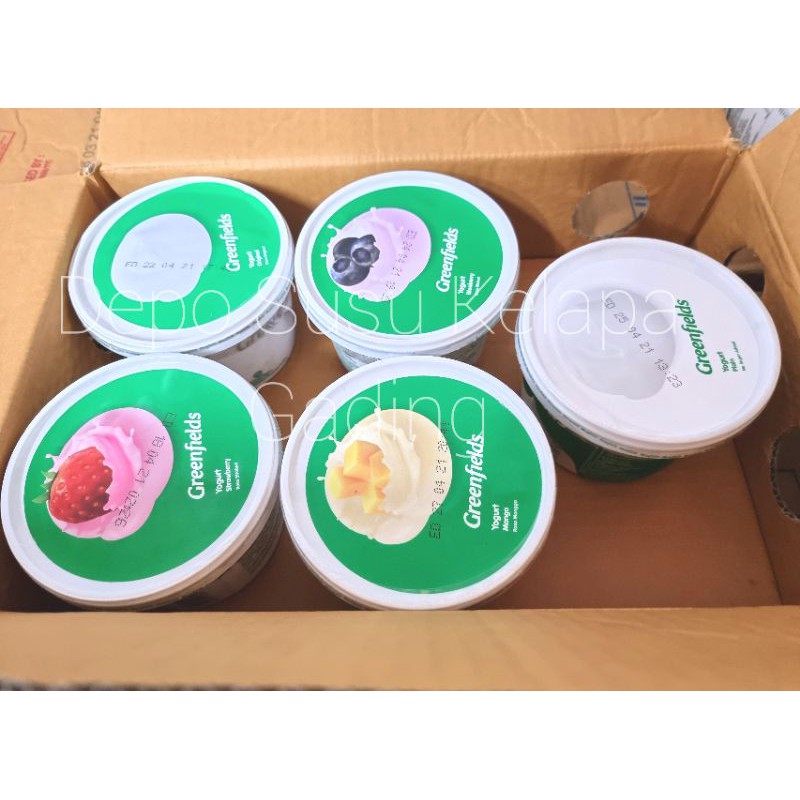 Greenfields Yogurt 500ml Plain Original / Strawberry / Blueberry / Manggo Greenfield Unsweet Unsweetened No sugar