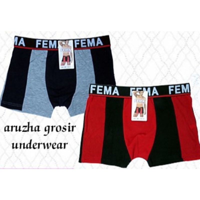 CD celana dalam boxer cowok pria FEMA 888