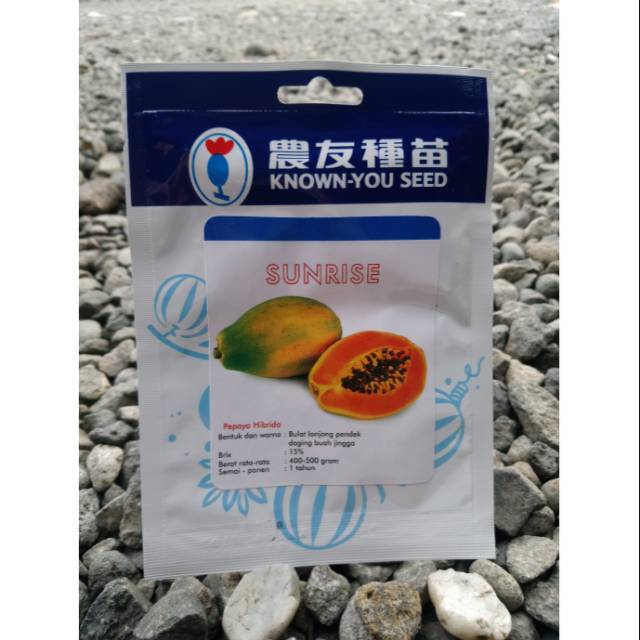 Bibit Tanaman Pepaya Hawai Hibrida SUNRISE F1 isi(50btr)