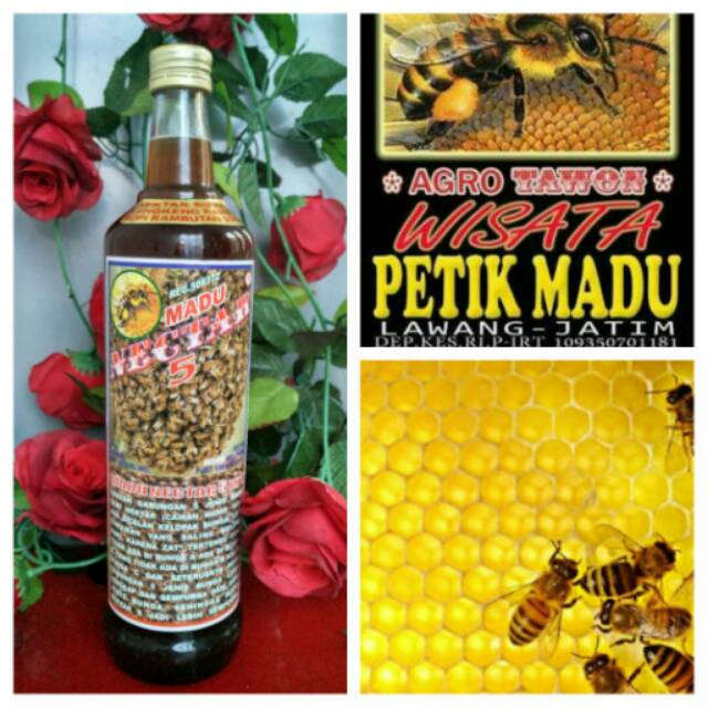 

MADU NECTAR 5 isi 600ml