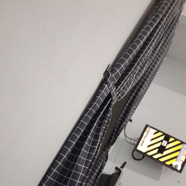 Tanaman Indoor Sensivera Moonshine - Tanaman Hias Sensivera Moonshine