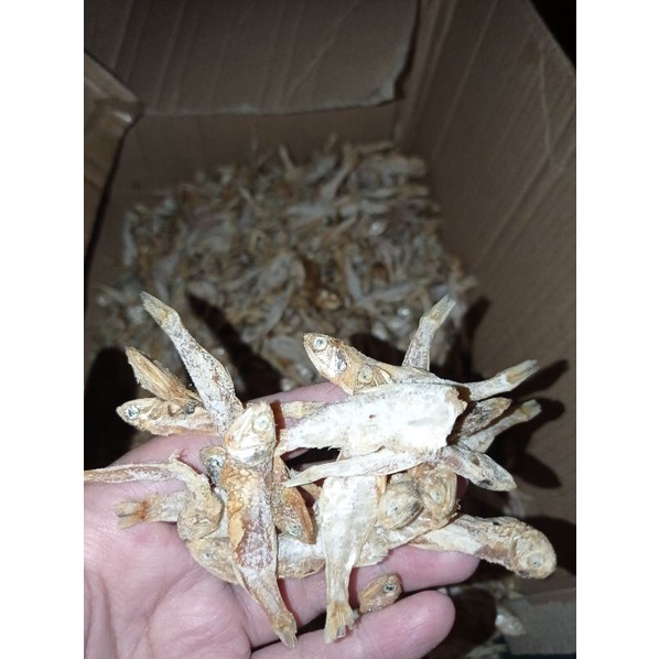 

ikan asin teri besar