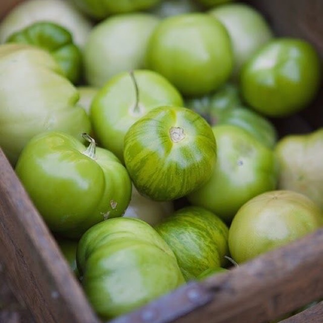 

Tomat Hijau (Green Tomato) 500 gram - sayur curah
