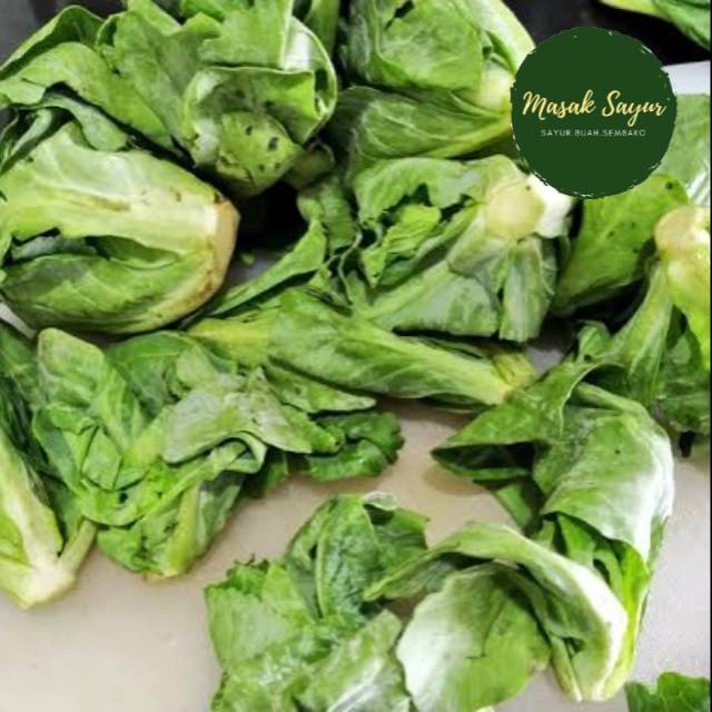 

Keciwis segar sayur murah 250 gram bandung