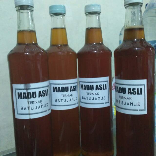 

Madu Ternak