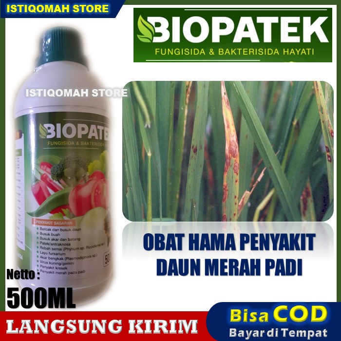 BIOPATEK Fungisida Hayati Pupuk Organik Mengatasi Penyakit Kresek, Penyakit BLAST, Penyakit Merah pada Padi, Virus Kuning/Gemini dan Penyakit Hawar Padi Paling Manjur dan Ampuh Murah 100% Alami ORI TERLARIS