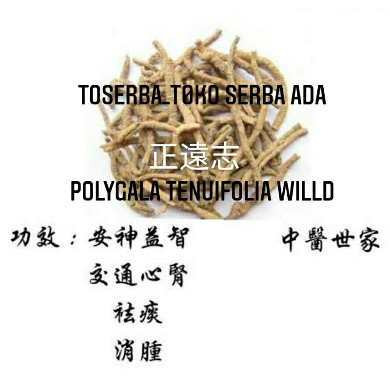 

100gr Herbal Yuan Zhi Rou 遠志肉 Polygala Tenuifolia Willd Grade A