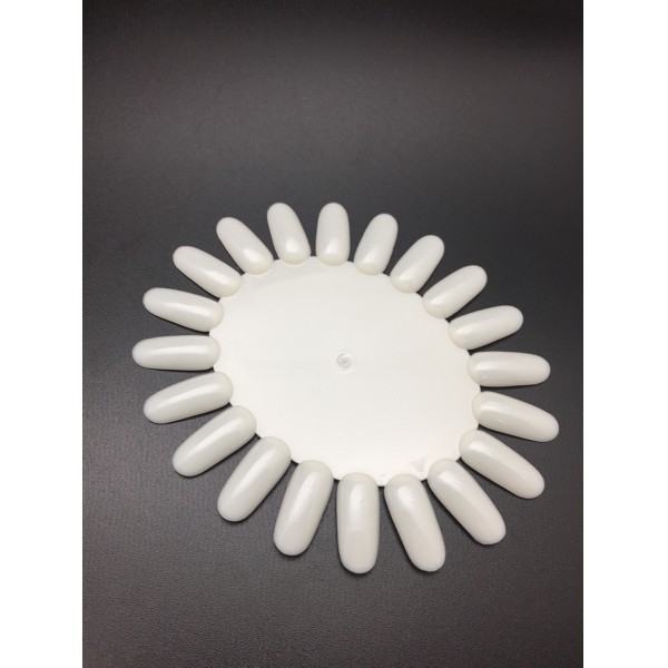 Nail chart display wheel oval nail polish latihan kutek kuku NAIL TIP WHEEL OVAL