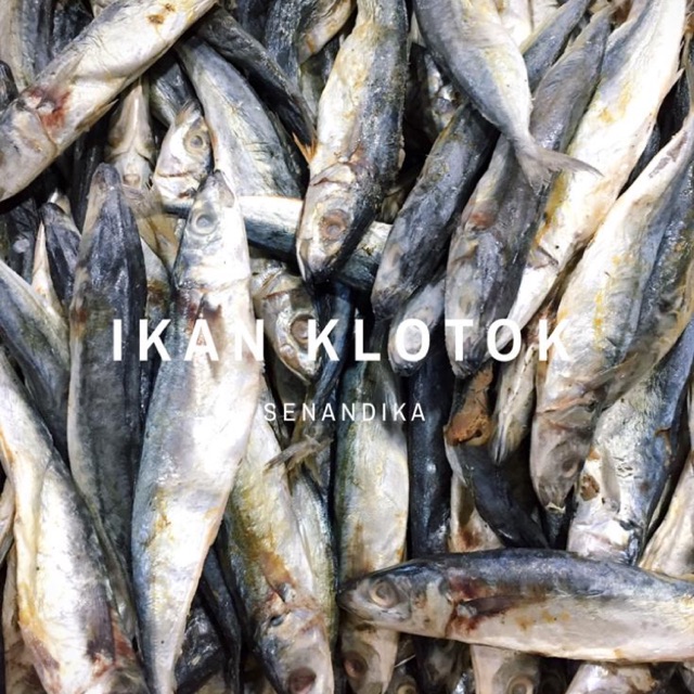 

Ikan Klotok per KG