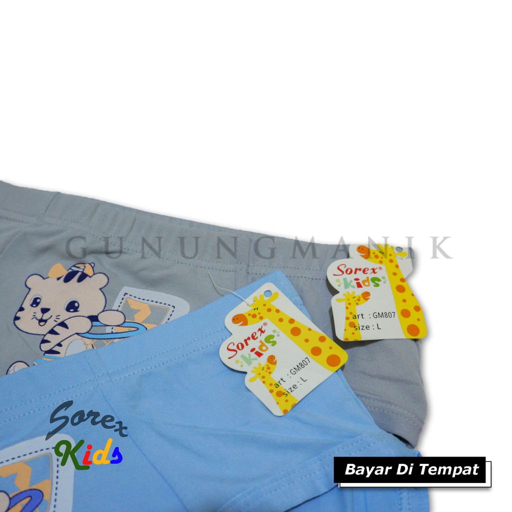 CELANA DALAM ANAK LAKI-LAKI SOREX KIDS MATERIAL SUPER SOFT USIA 4-10 Th termurah