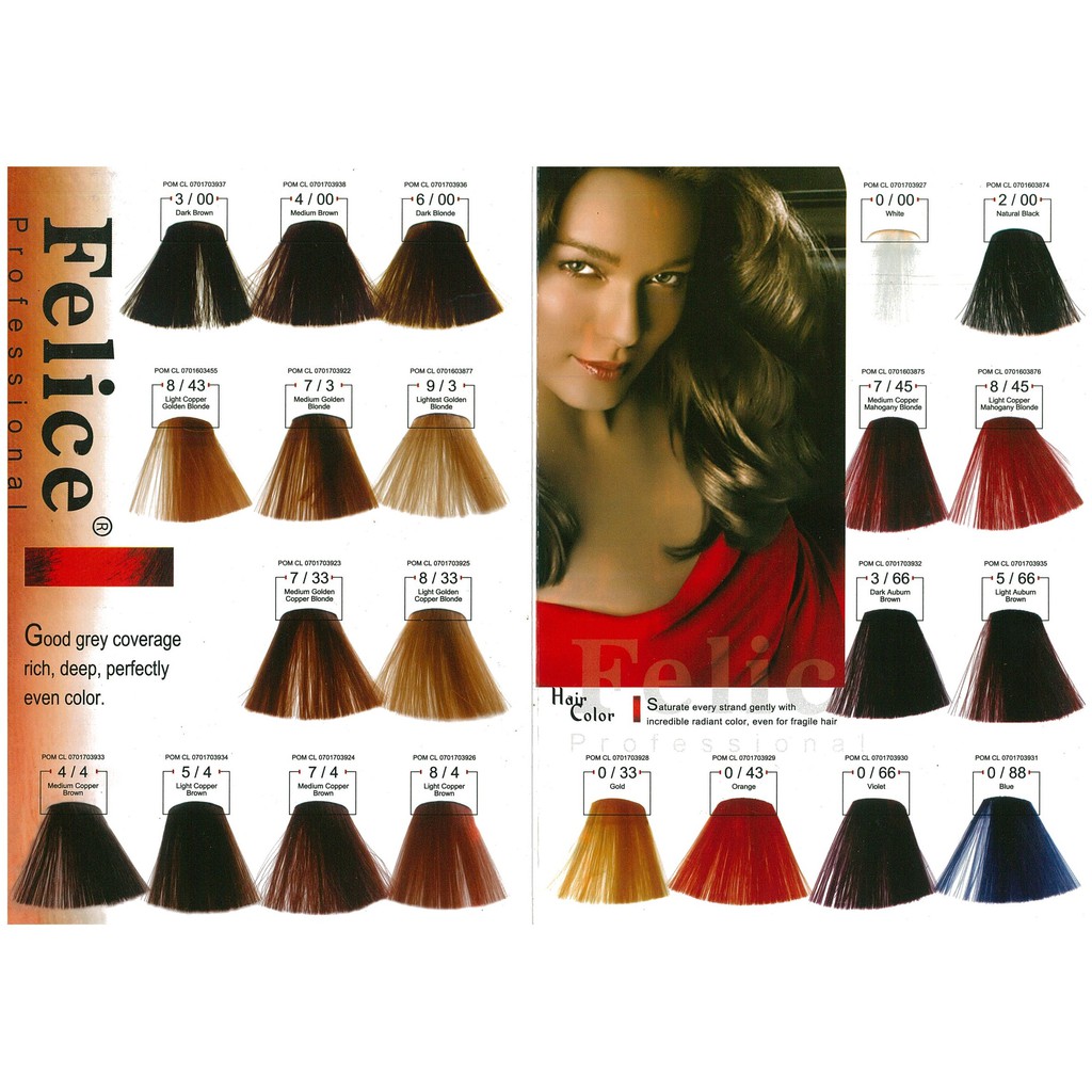 Felice Professional Hair Color Cat Rambut 60ml Shopee Indonesia