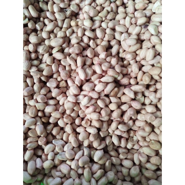 

Kacang tanah 250gr