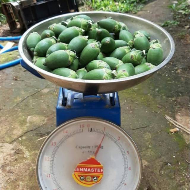 

buah pinang muda