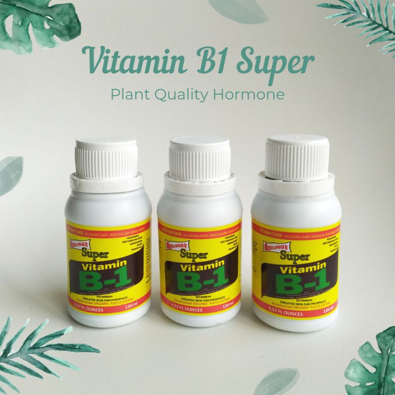 Vitamin Pupuk Tanaman B1 Super Liquinox Termurah