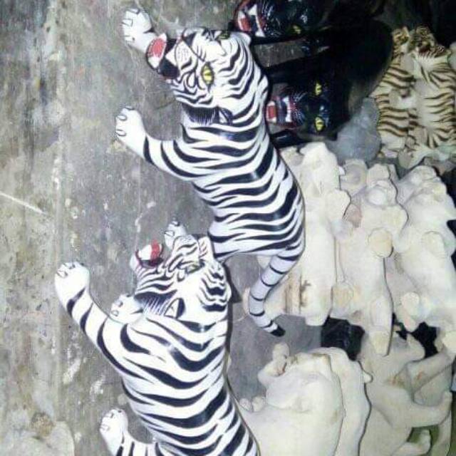 Patung macan putih uk25