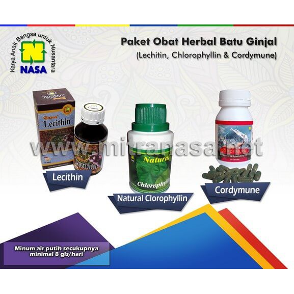 Paket Obat Herbal Batu Ginjal NASA Efektif