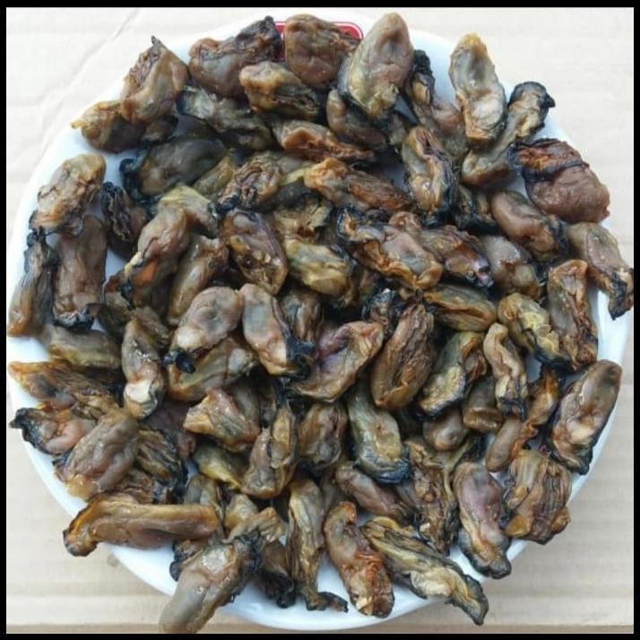 

hause oyster / kerang kering / tiram kering original korea 100 gram