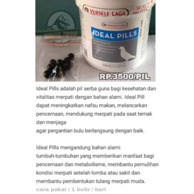 Vitamin jamu ideal pills verselelaga khusus burung merpati dara lomba kolongan balap pos tomprang