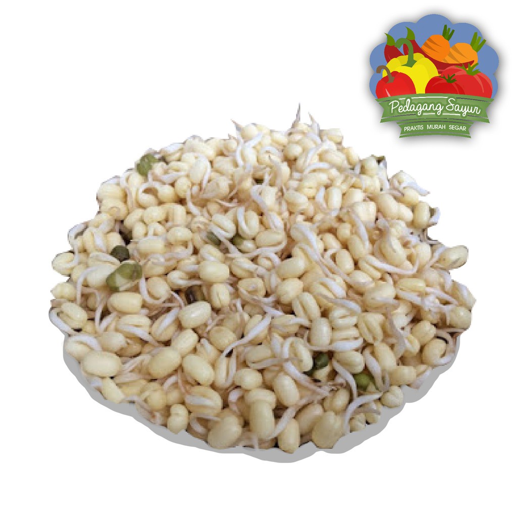

Kecambah - Toge Pendek - 250 Gram