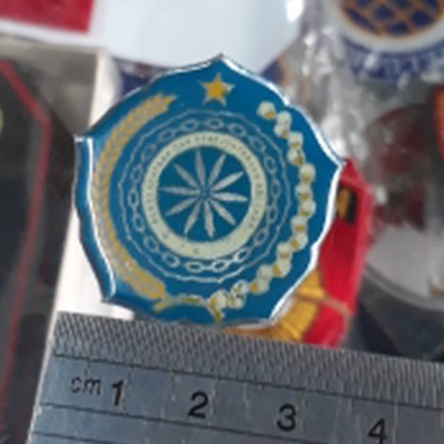 Pin Kerah PKK | pin PKK