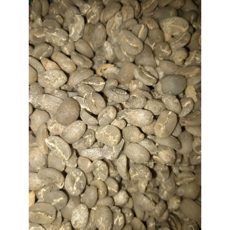

Luwak Liar Arabica Gayo