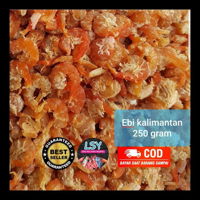 

TERBARU! EBI KALIMANTAN SUPER PALING MURAH