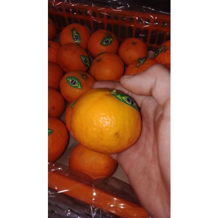 

Jeruk Wogan Manis 1kg