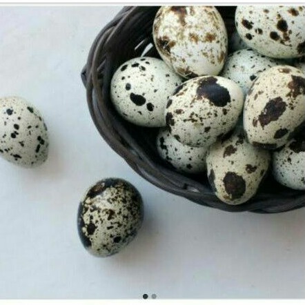 

Telur Puyuh 200gr