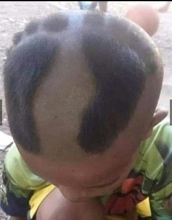 Cat Tembok Qluc Warna (18 Kg) - Promo Stok Terbatas