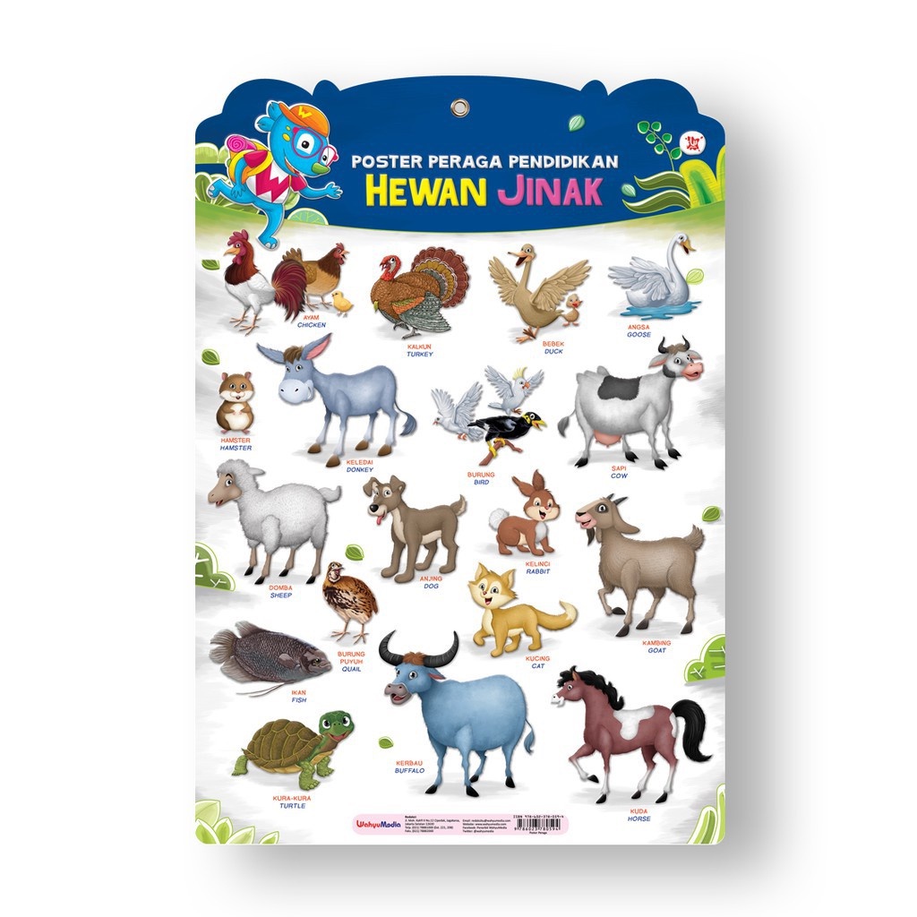 Poster Peraga Pendidikan Hewan Jinak