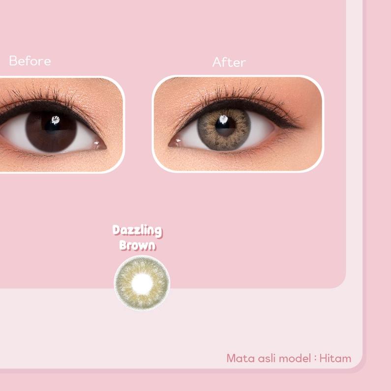 ֍ PINKRABBIT Softlens Dazzling Brown Normal, Minus 0.50 s/d 8.00 ♙
