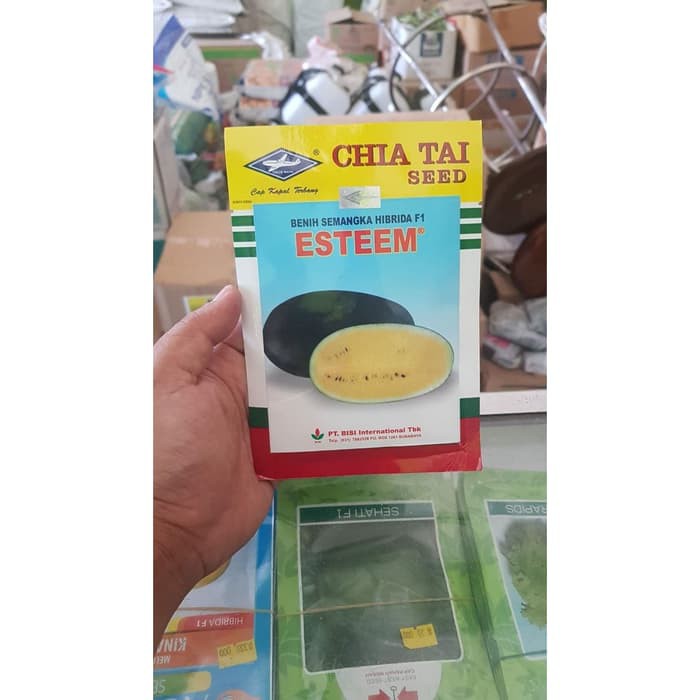 Benih Semangka Inul Kuning Esteem - Bibit Blonceng Lonjong Estim