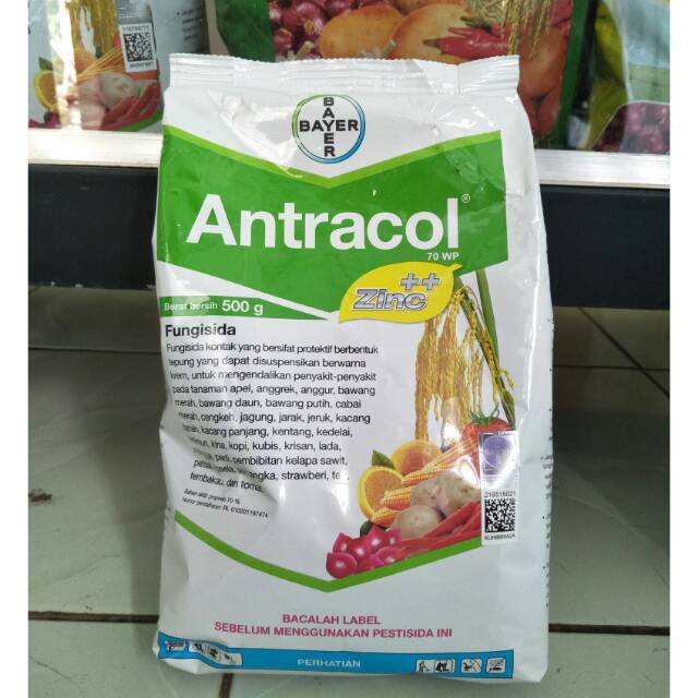 ANTRACOL 70WP 500 GRAM