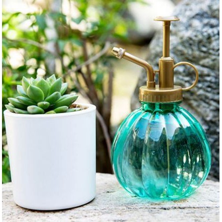 Succulent Watering Spray Bottle - Botol Semprot Pot Tanaman Sukulen