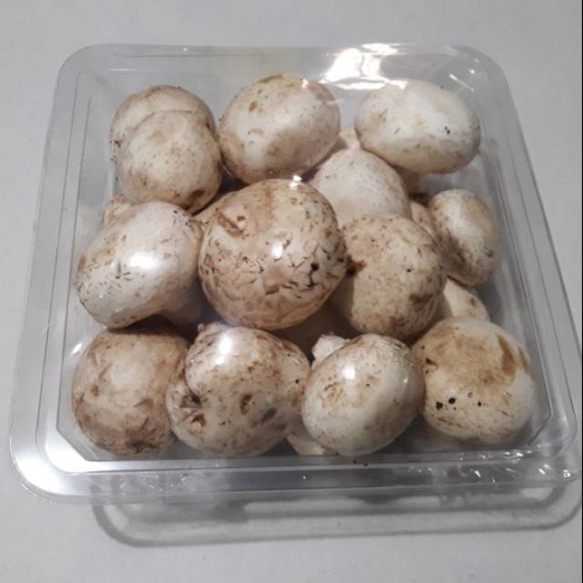 

KangSayur - Sayuran Segar JAMUR KANCING - JAMUR CHAMPIGNON FRESH 250 Gram