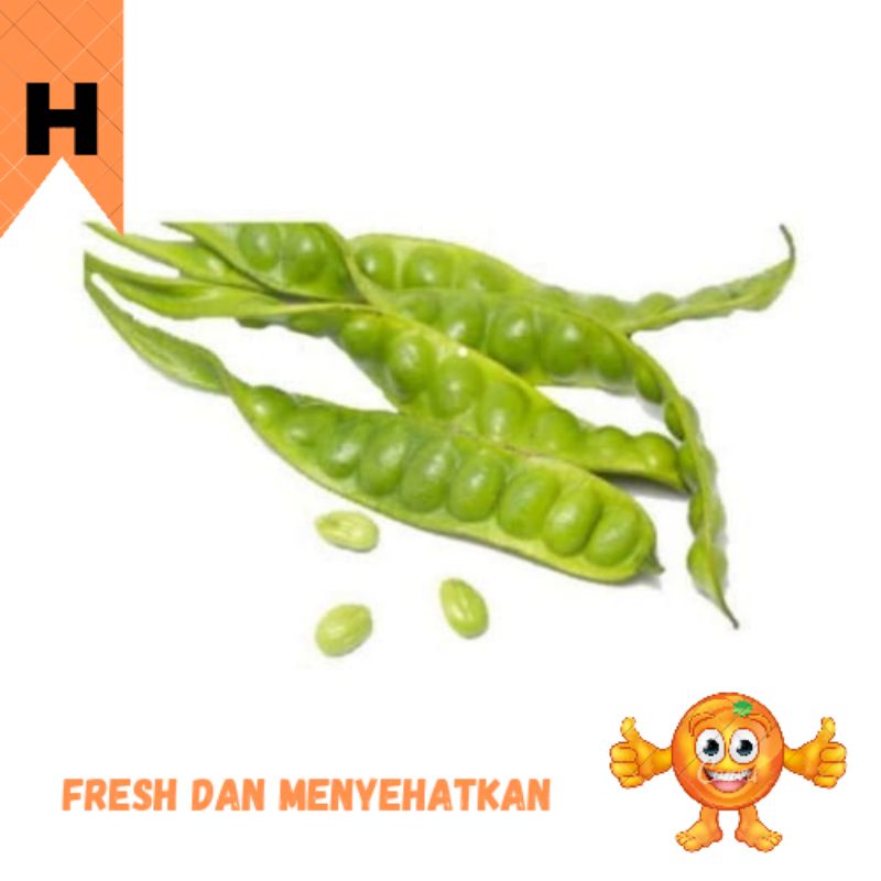 

SAYUR PETAI 3 PCS / PACK