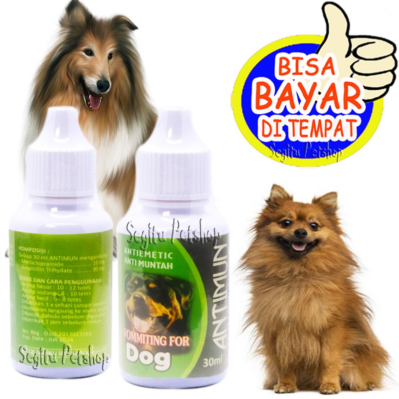 OBAT MUNTAH ANJING SAKIT PERUT PENCERNAAN MABUK ANTIMUN DOG