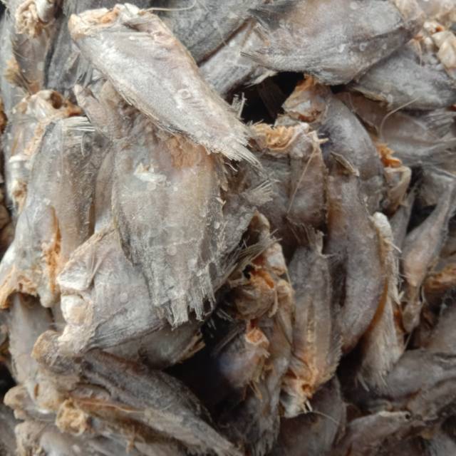 

Ikan asin sepat kecil (250gr)