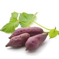 

Berkualitas Premium ( Ubi Ungu ) Kemasan 1 Kg
